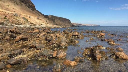 Keep walking down the Shelly beach