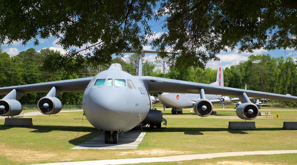 Warner Robins Museum of Aviation showing a garden, heritage elements and military items