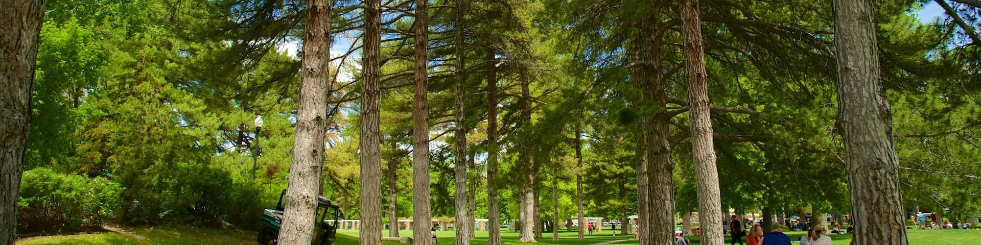 Liberty Park featuring picnicing and a garden