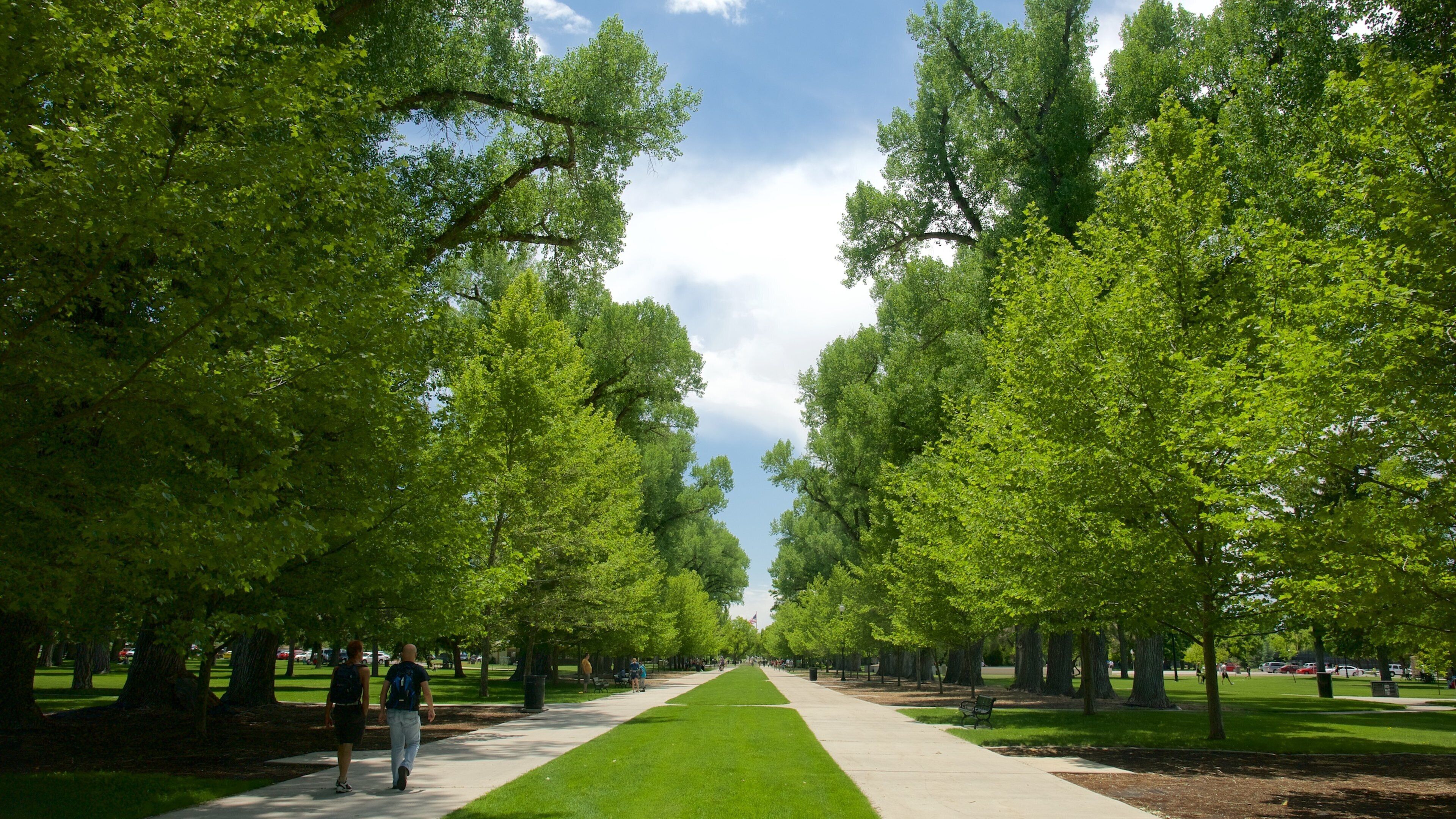 Liberty Park som viser skoglandskap og park