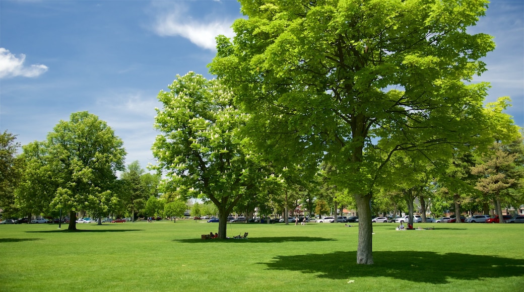 Liberty Park featuring a park