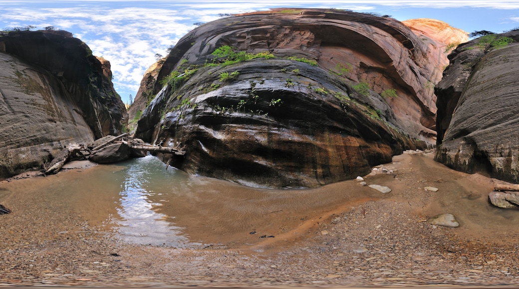 Virgin Narrows, Zion National Park, Springdale, Utah, United States