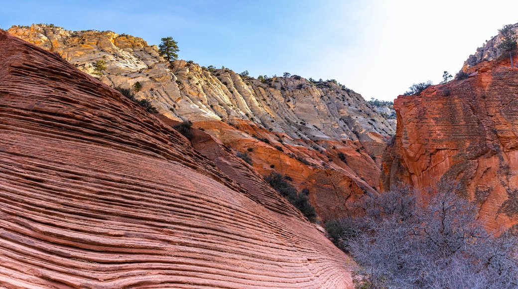 Weathered Patterns in The Red Sandstone Walls Below The Elkheart Cliffs, Red Hollow Canyon, Orderville, Utah, USA