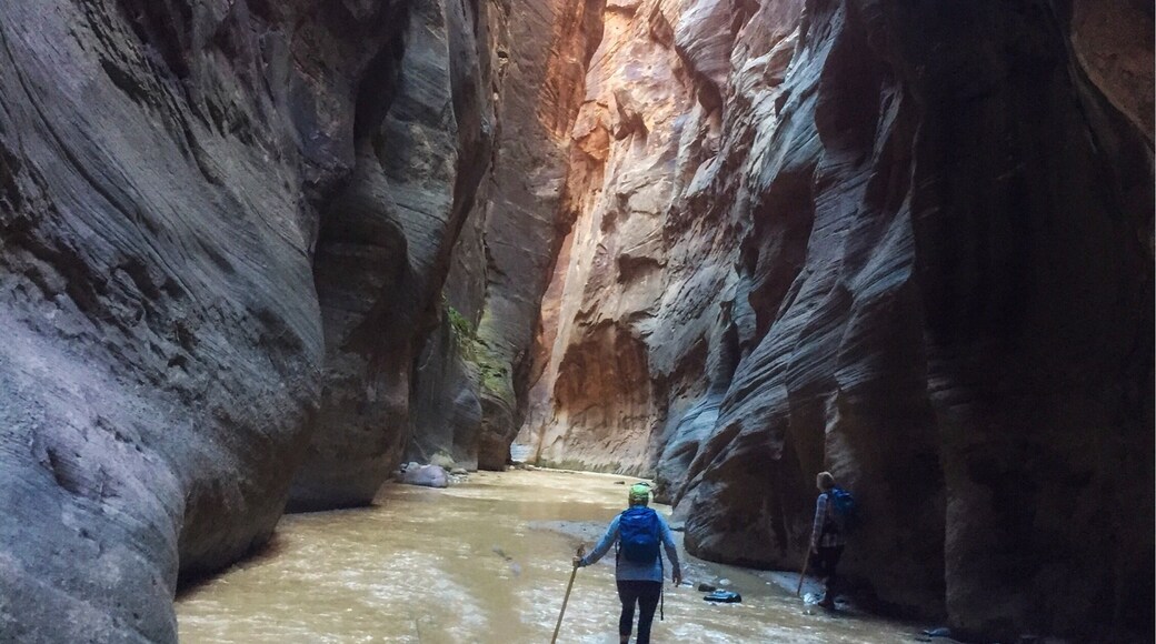 This hike was the true adventure. Something different, kind of an "out of the box" experience. Navigating through knee deep rocky waters surrounded by awe inspiring surroundings. Definitely something to brag about & relive over & over.