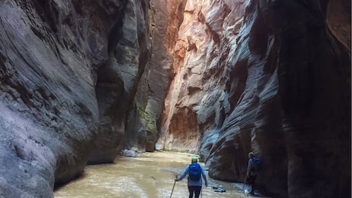 This hike was the true adventure. Something different, kind of an "out of the box" experience. Navigating through knee deep rocky waters surrounded by awe inspiring surroundings. Definitely something to brag about & relive over & over.