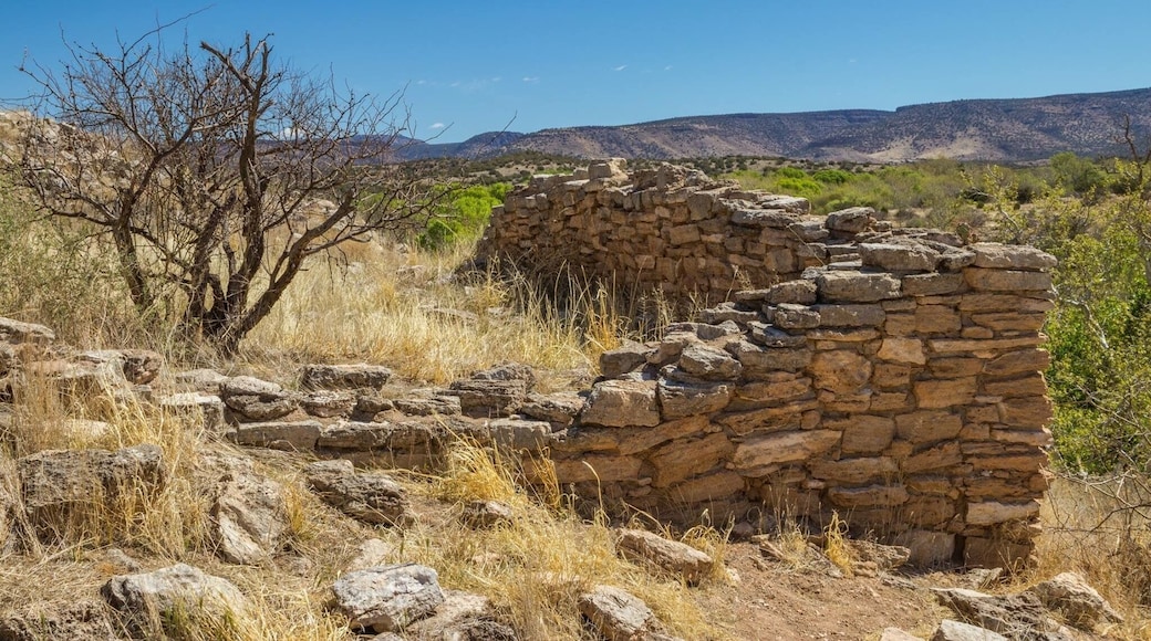 Nostalgic remnants in Arizona