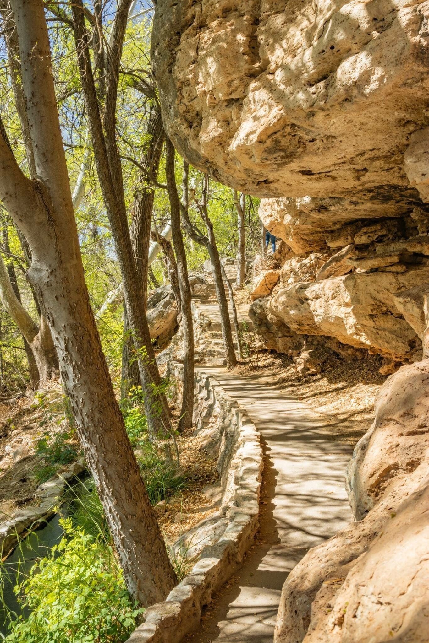 Shade in the Arizona desert