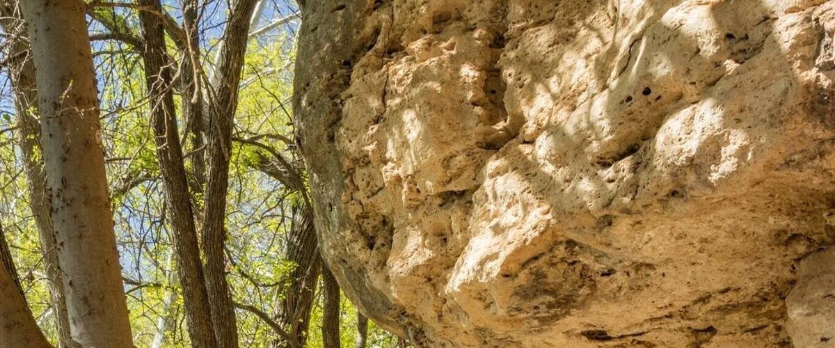 Shade in the Arizona desert