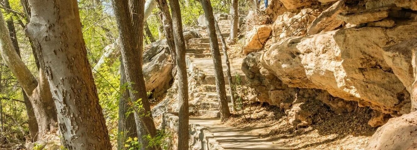 Shade in the Arizona desert