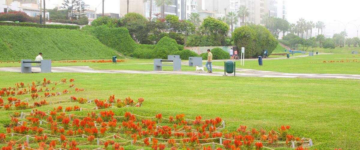 Lima which includes flowers and a garden