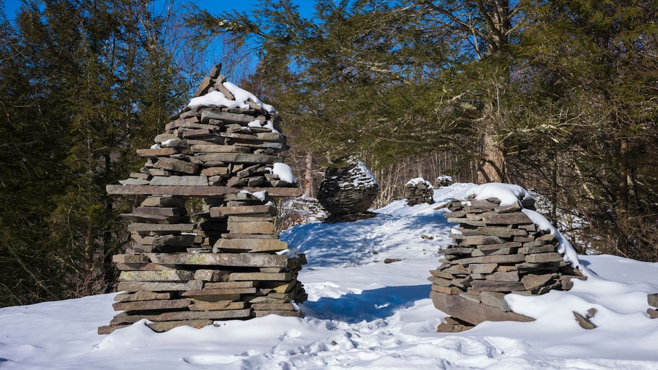 A snow-covered stone cairn and a snow-covered tree in a forest.