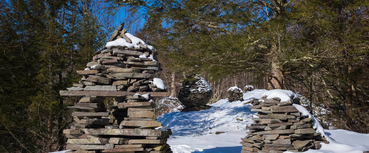 A snow-covered stone cairn and a snow-covered tree in a forest.
