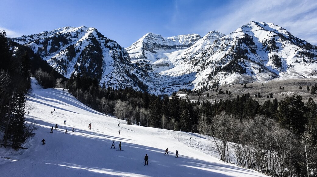 Majestic Chairlift = 壯麗纜車