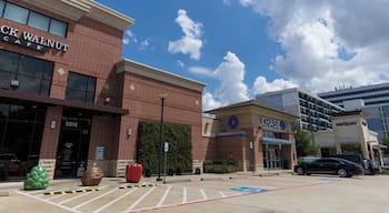 EyeEm Custom Shoots Q4 2018