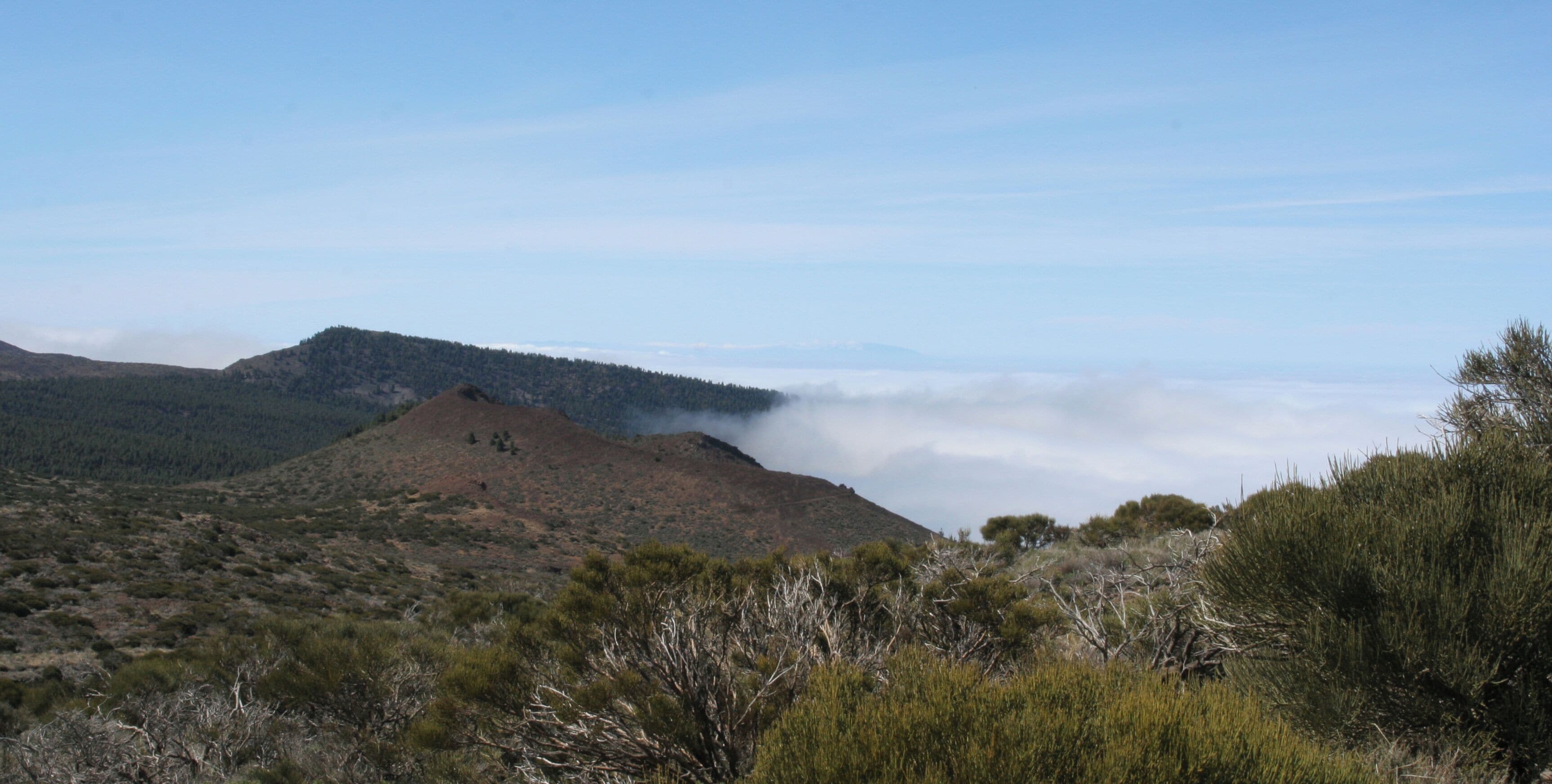Clouds creep up the sides of Mount Teide