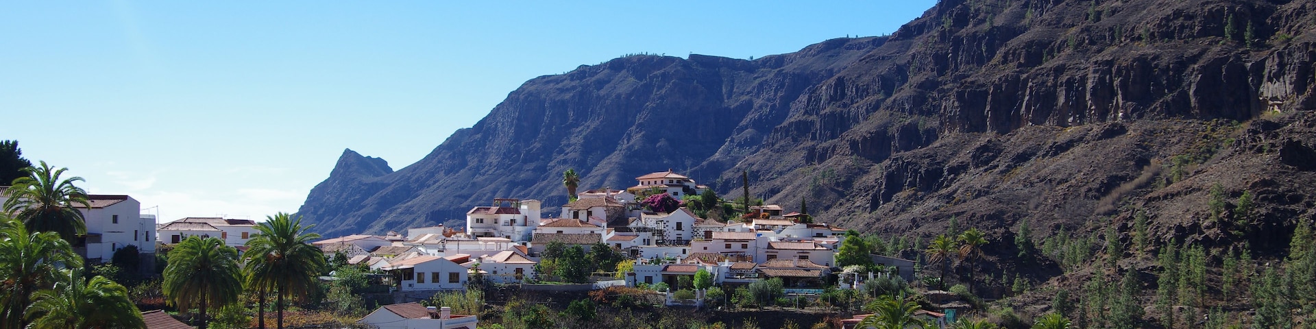Un pueblo costero con edificios blancos, palmeras y montañas al fondo.