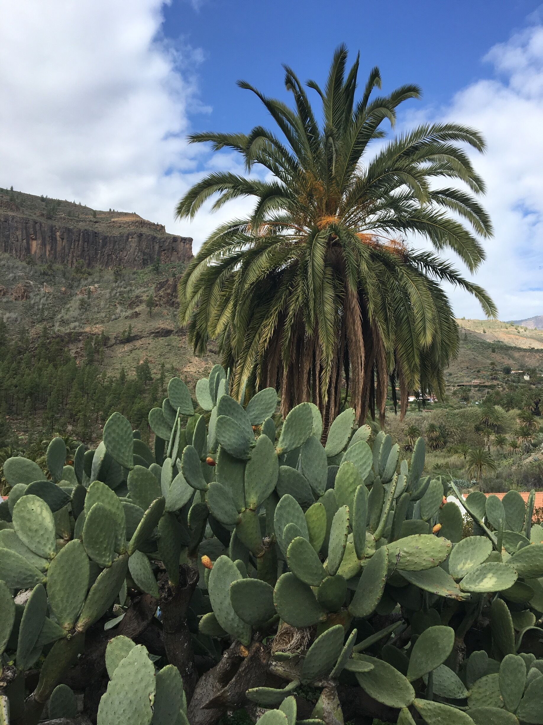 Gran Canaria 