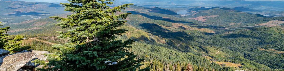 Looking into Idaho from atop Mount Spokane. Mead, Washington.
