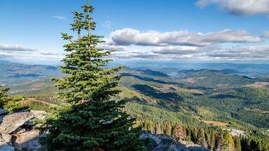 Looking into Idaho from atop Mount Spokane. Mead, Washington.