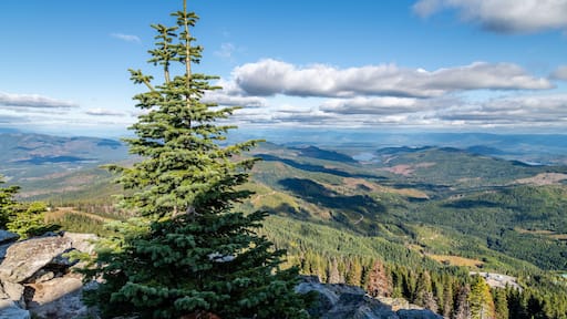 Looking into Idaho from atop Mount Spokane. Mead, Washington.