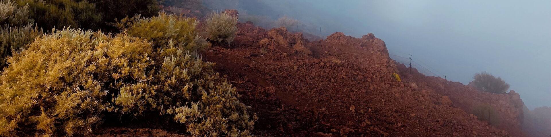 This is where the Astrophysical Observatory of Roque de Los Muchachos is located at an altitude of 2,420 metres in the municipality of Garafía, is one of the most complete telescope arrays in the world. Thanks to its dark, clear skies almost all year round, La Palma has become one of the most privileged locations on the planet for astronomical observation.