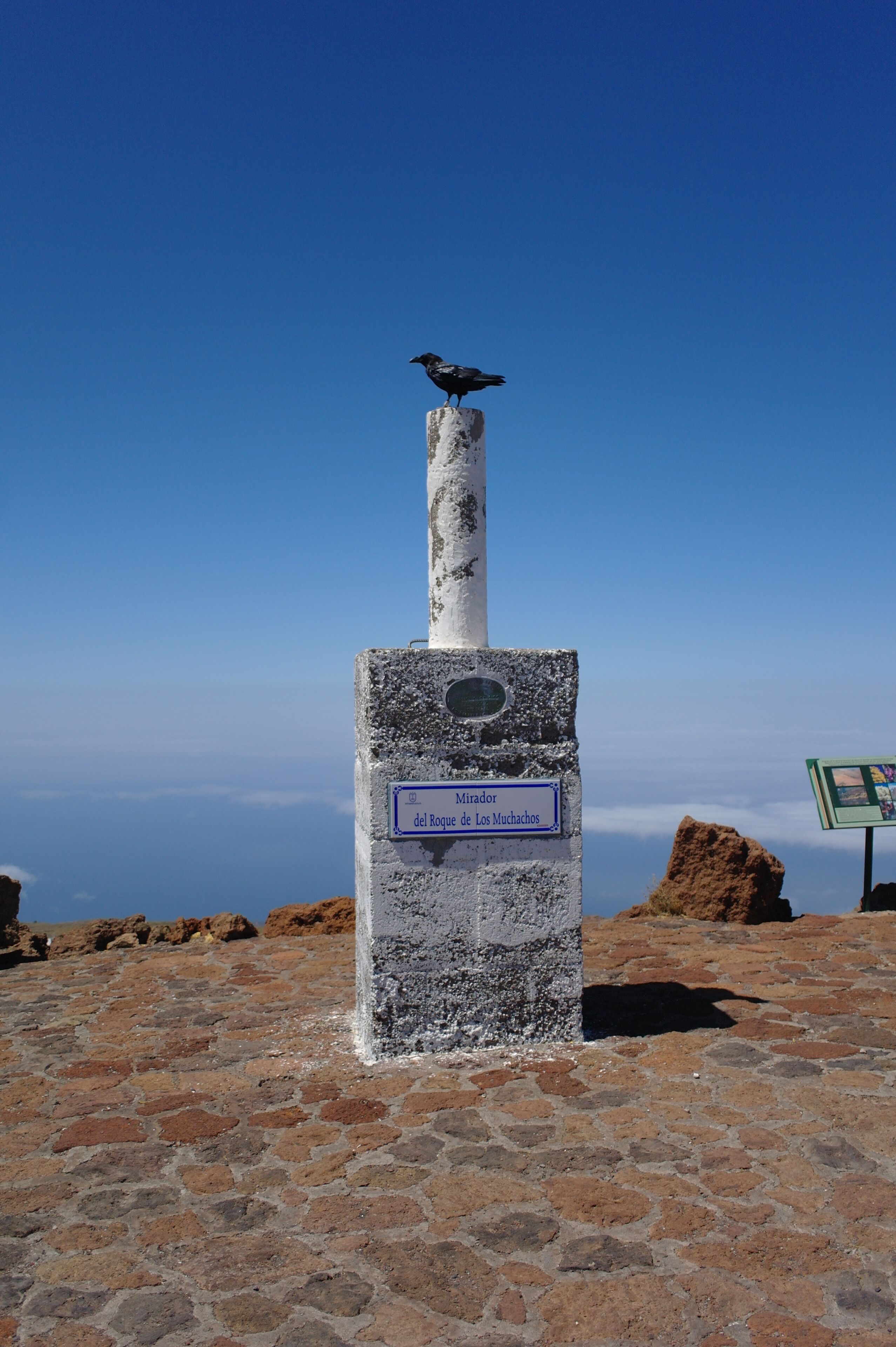 Great views from up here