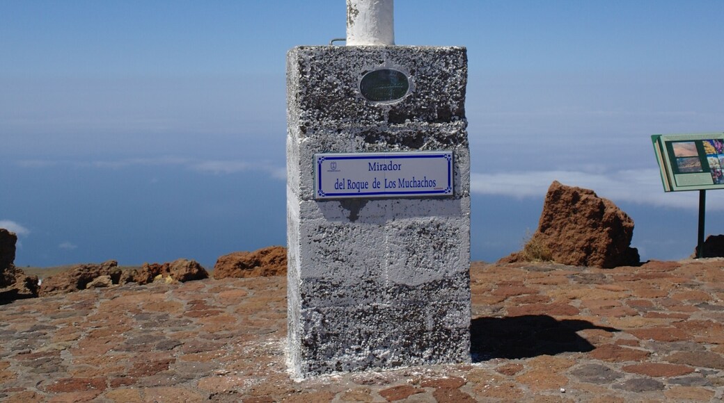 Great views from up here