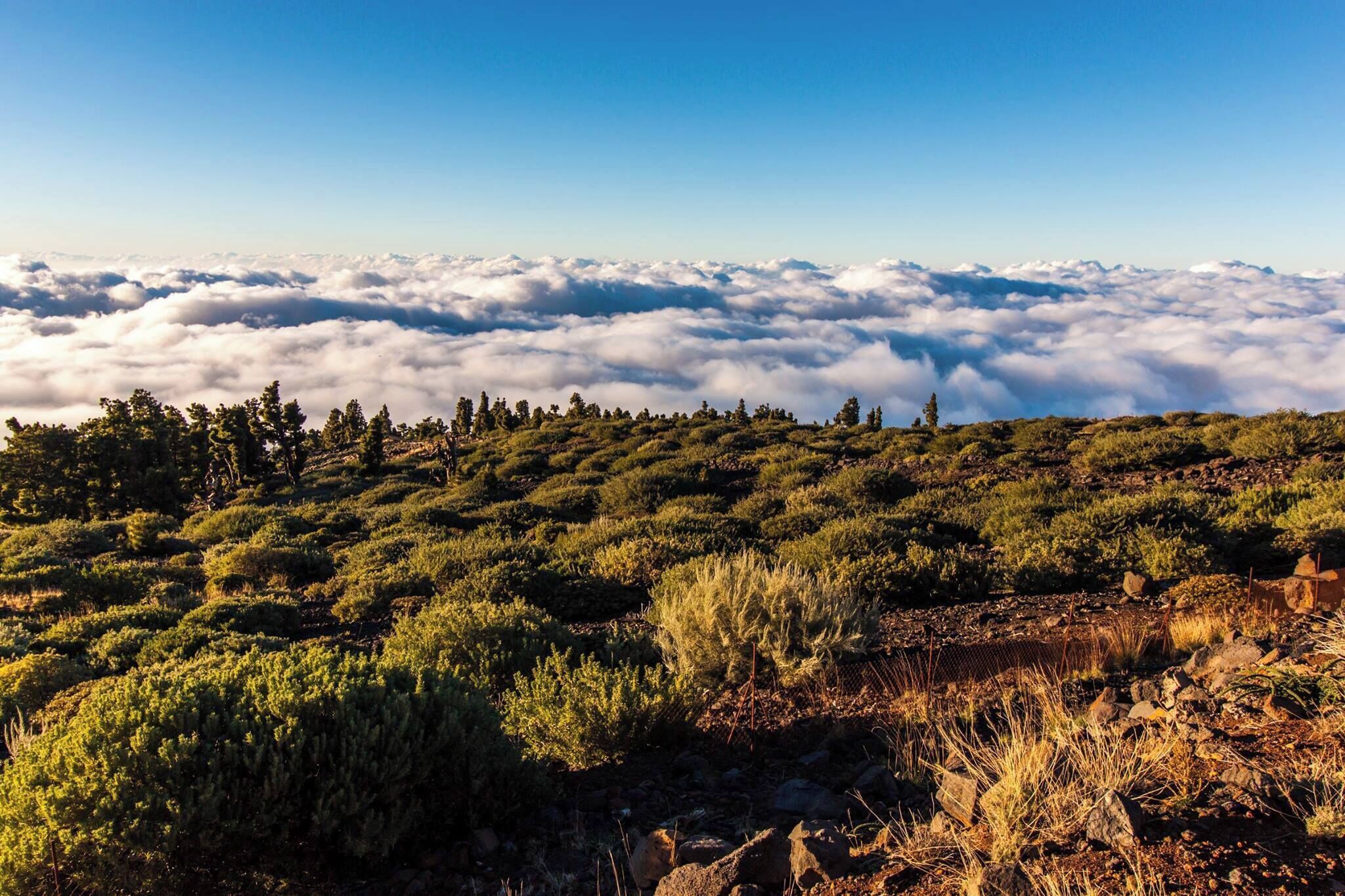 #LifeAtExpedia

Visit Roque de los Muchachos for unforgettable 360 degree views from above the clouds on this huge volcano that forms the Caldera on La Palma Island on the Canaries. At 8,000 ft above sea-level, you get stunning 360 degree views of the inside of the Caldera and the various observatories that also dot this world-famous star-gazing sight. If you are brave enough to drive down at night, you can even wait it out for the stars for an unforgettable experience!