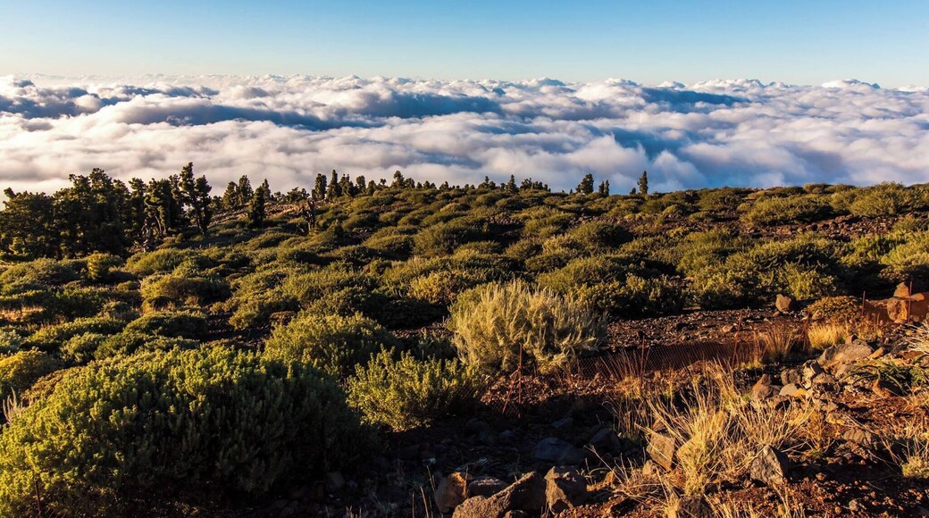 #LifeAtExpedia
Visit Roque de los Muchachos for unforgettable 360 degree views from above the clouds on this huge volcano that forms the Caldera on La Palma Island on the Canaries. At 8,000 ft above sea-level, you get stunning 360 degree views of the inside of the Caldera and the various observatories that also dot this world-famous star-gazing sight. If you are brave enough to drive down at night, you can even wait it out for the stars for an unforgettable experience!