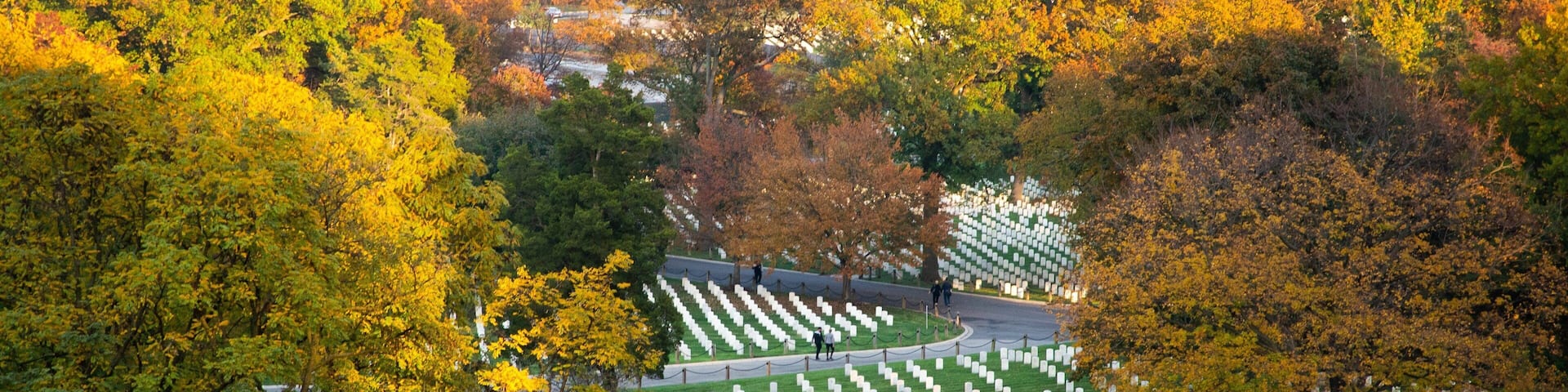 Arlington showing landscape views and a cemetery