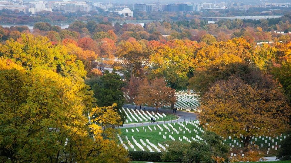 A cemetery surrounded by autumn-colored trees.