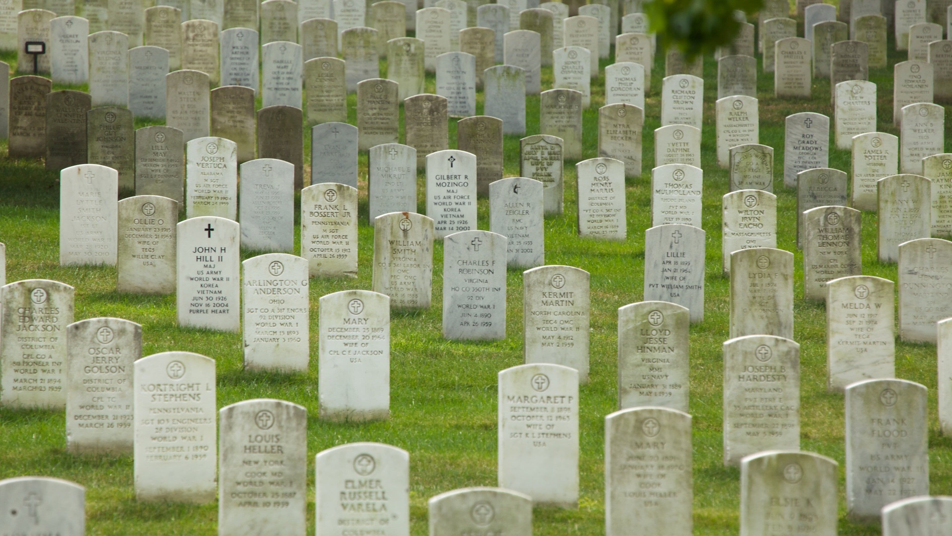 Arlington which includes a cemetery