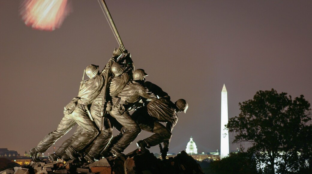 Arlington featuring a statue or sculpture and night scenes
