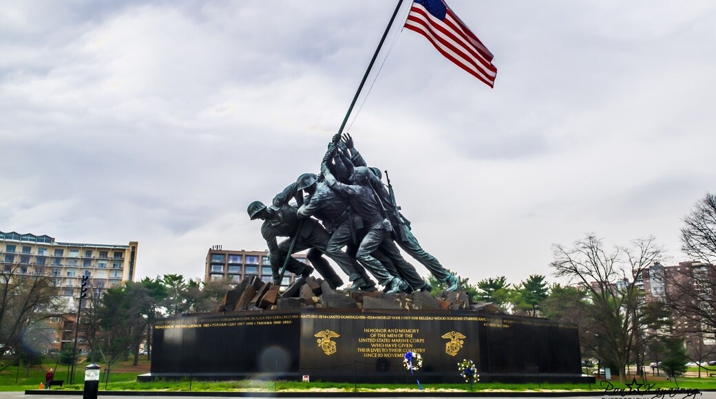 Based on an iconic image of the second flag-raising on the island of Iwo Jima during World War II, the US Marine Corps War Memorial is dedicated to "the Marine dead of all wars and their comrades of other services who fell fighting beside them. The United States Marine Corps War Memorial is a United States military monument sited at the entrance to Arlington National Cemetery and next to the Netherlands Carillon, in Arlington Ridge Park, Arlington, Virginia. Wikipedia