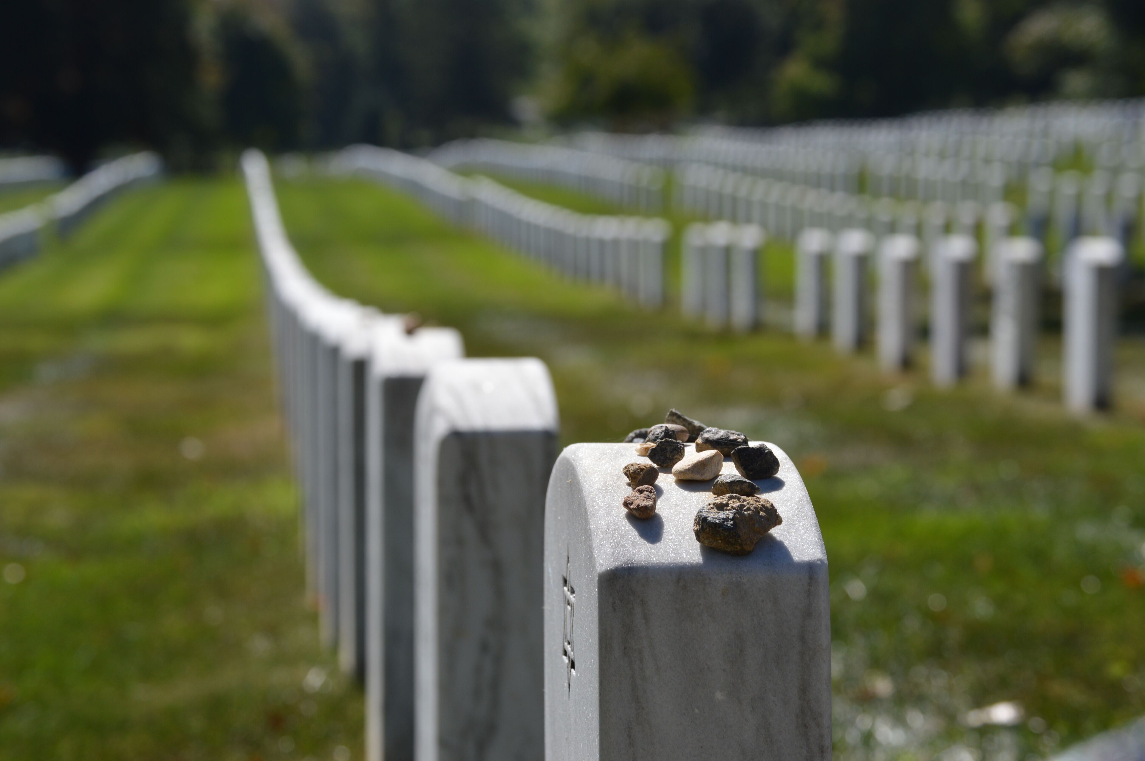 Un cementerio con lápidas y un sendero cubierto de césped.