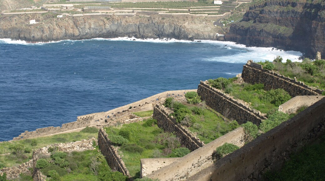 Bananenplantage Ruine