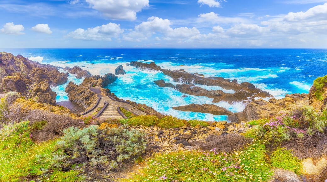 Landscape with amazing Charco del Viento in Tenerife, Canary Islands, Spain