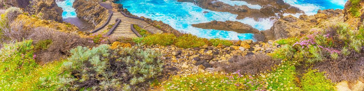 Landscape with amazing Charco del Viento in Tenerife, Canary Islands, Spain