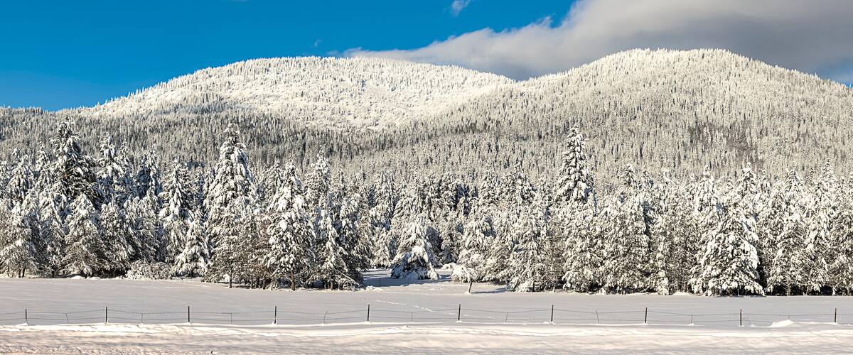 Panorama of snow covered mountain.