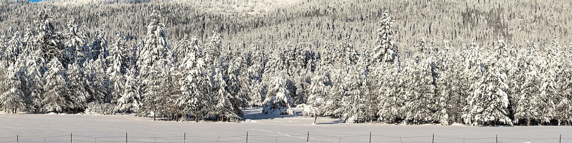 Panorama of snow covered mountain.