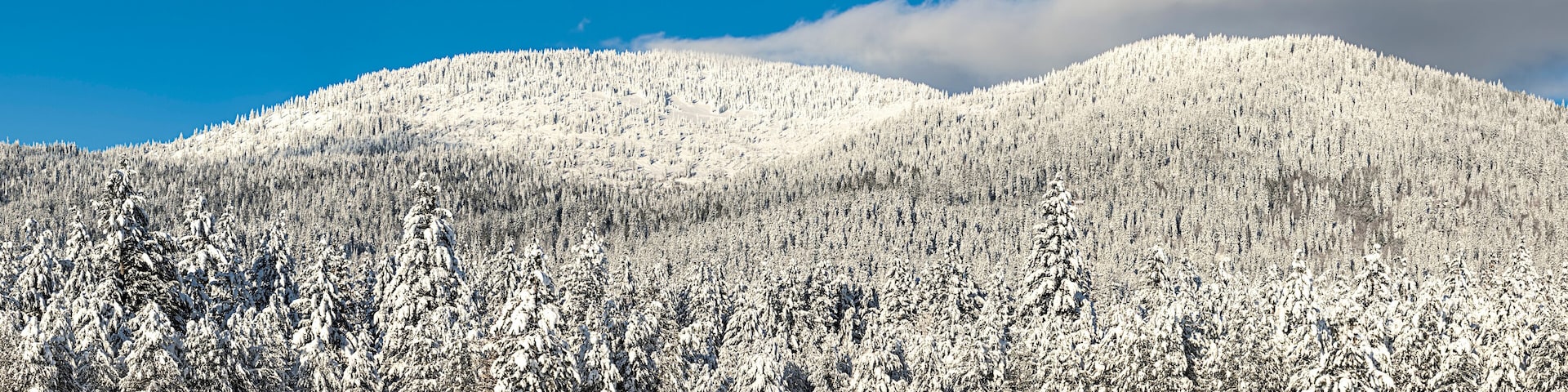 Panorama of snow covered mountain.