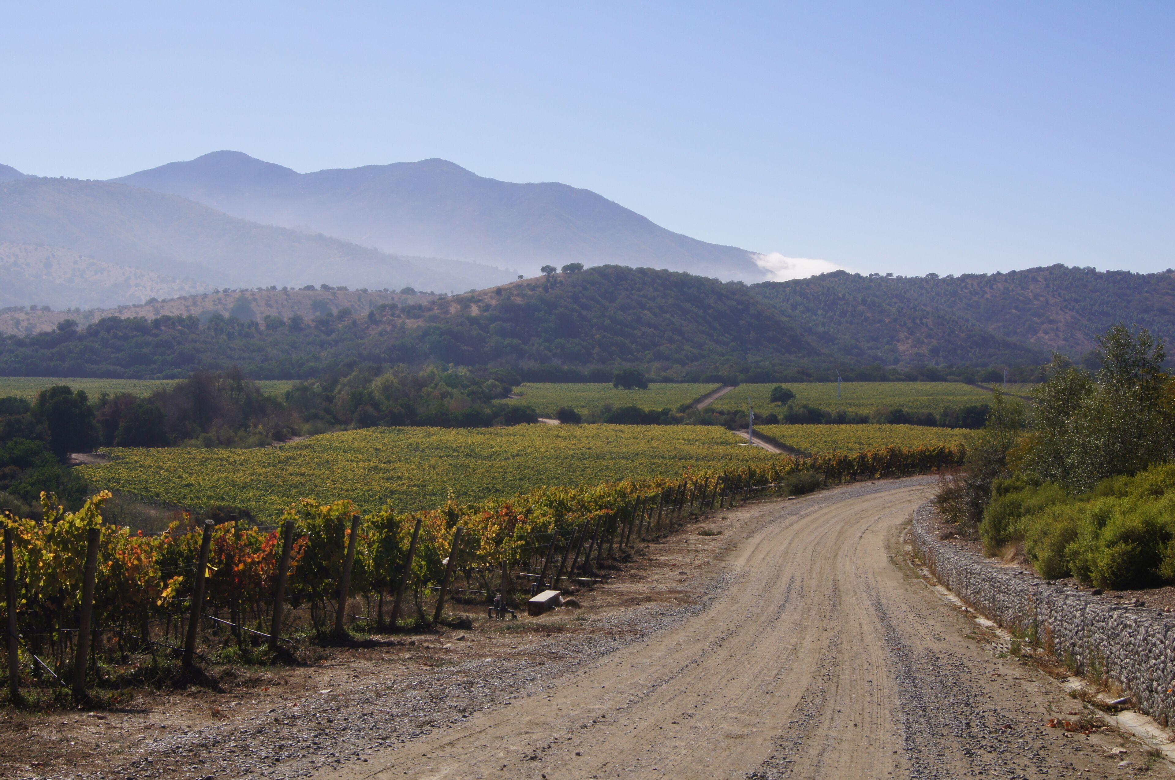 #Matetic #Winery #Vineyards #Chile

Estávamos em uma excursão que parou nesta vinícola. Fizemos uma prova de vinhos que tinham bastante qualidade e soubemos que a própria vinícola tem restaurante e alojamentos para quem desejar fazer um tour mais imersivo. A paisagem é muito bonita e as instalações modernas e muito bem cuidadas.

We were on a tour that stopped at this winery. We did a wine tasting which had a lot of quality and it came to our knowledge that the winery itself has a restaurant and lodgings for those wishing to do a more immersive tour. The scenery is beautiful and the facilities modern and very well maintained.