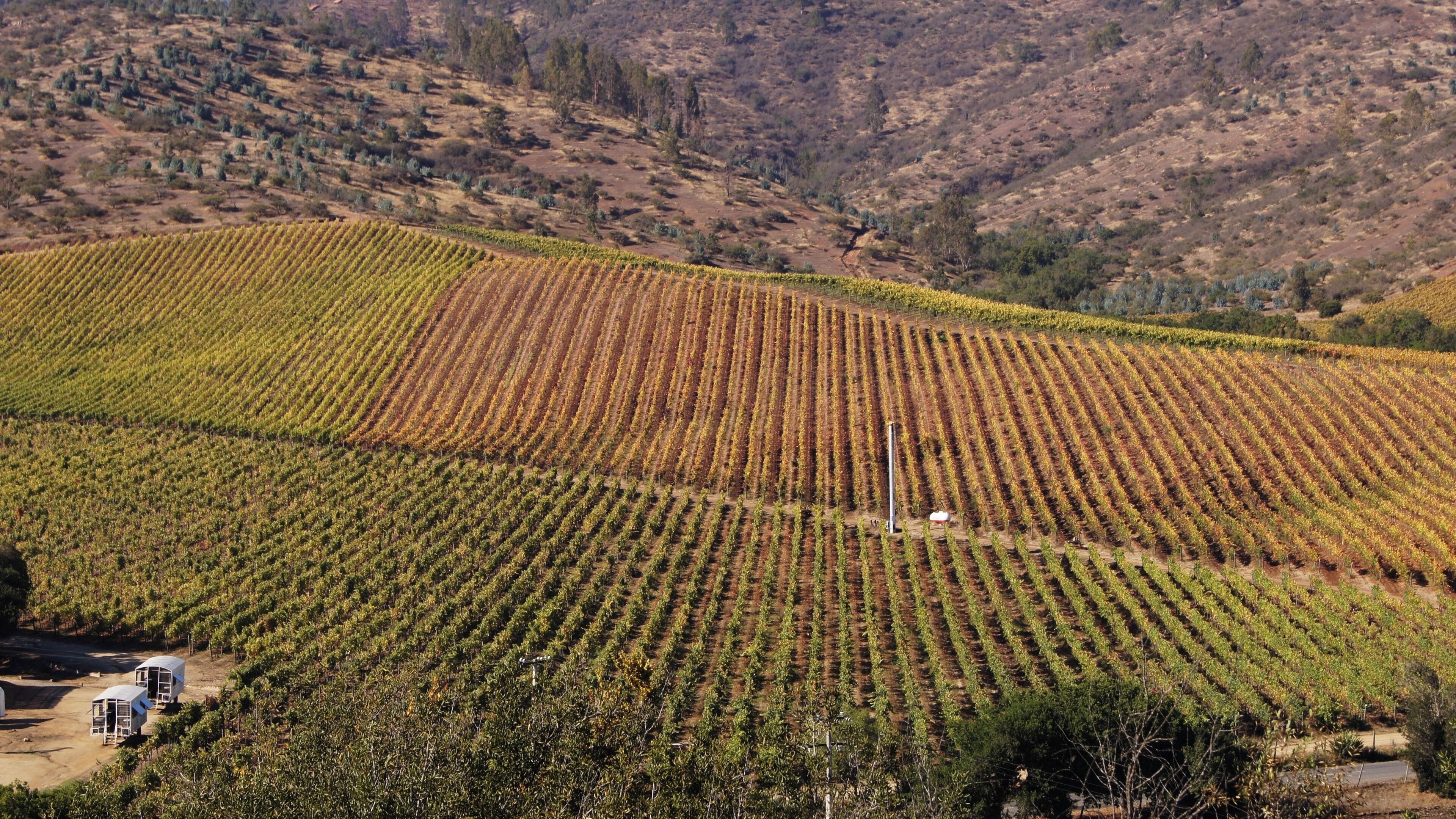 #Matetic #Winery #Vineyards #Chile

Estávamos em uma excursão que parou nesta vinícola. Fizemos uma prova de vinhos que tinham bastante qualidade e soubemos que a própria vinícola tem restaurante e alojamentos para quem desejar fazer um tour mais imersivo. A paisagem é muito bonita e as instalações modernas e muito bem cuidadas.

We were on a tour that stopped at this winery. We did a wine tasting which had a lot of quality and it came to our knowledge that the winery itself has a restaurant and lodgings for those wishing to do a more immersive tour. The scenery is beautiful and the facilities modern and very well maintained.