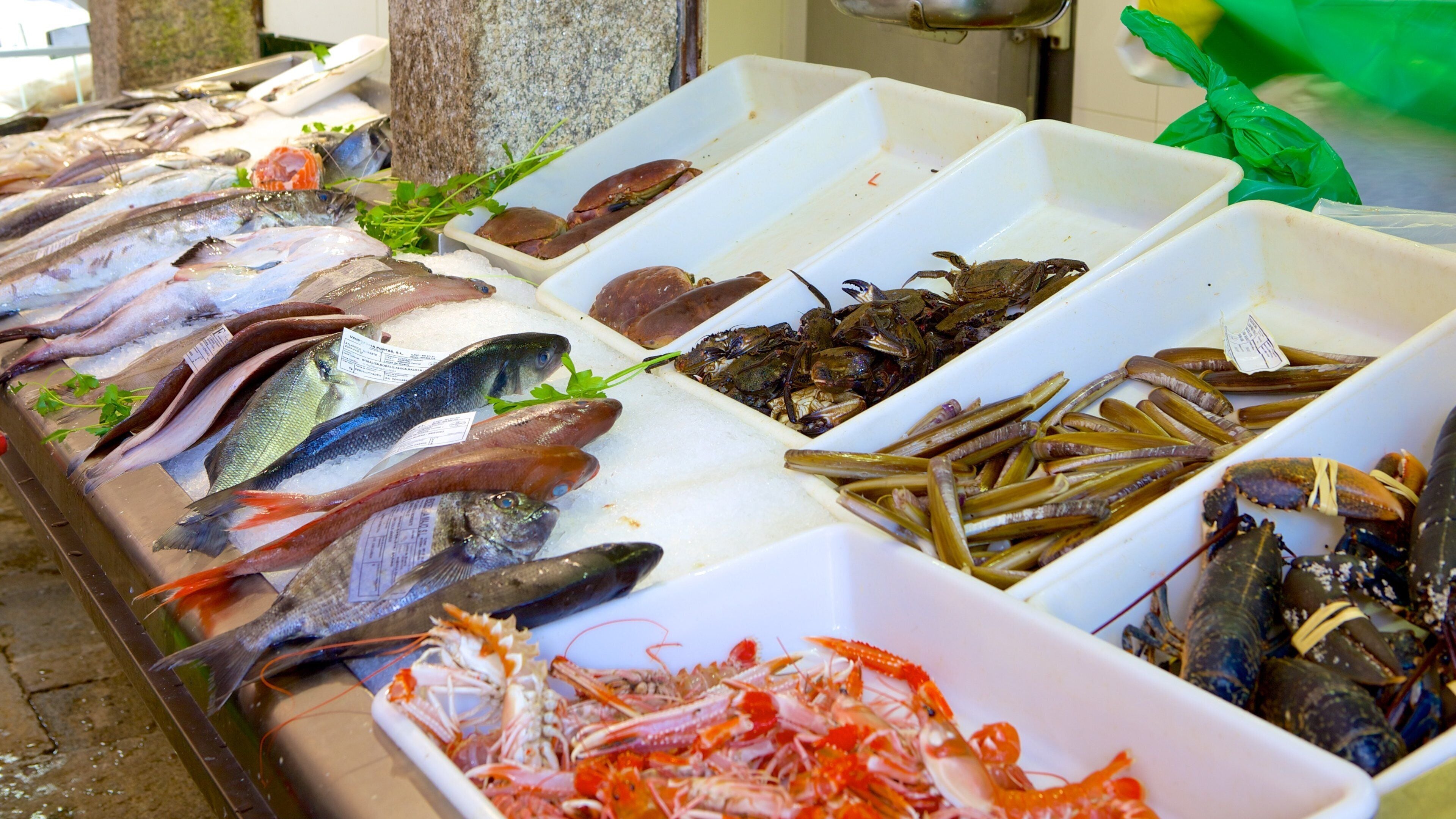 메르카도 데 아바스토스 데 산티아고 을 보여주는 시장, 해양 생물 과 음식