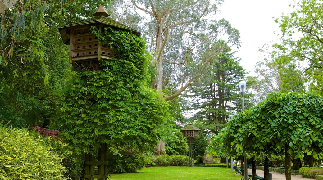 Parque Alameda que incluye jardín