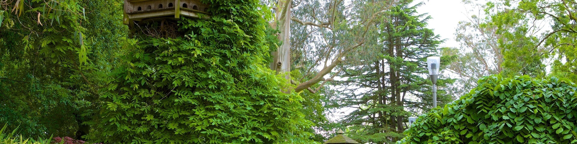 Um jardim exuberante com um comedouro de madeira para pássaros, uma estátua e sebes bem aparadas.