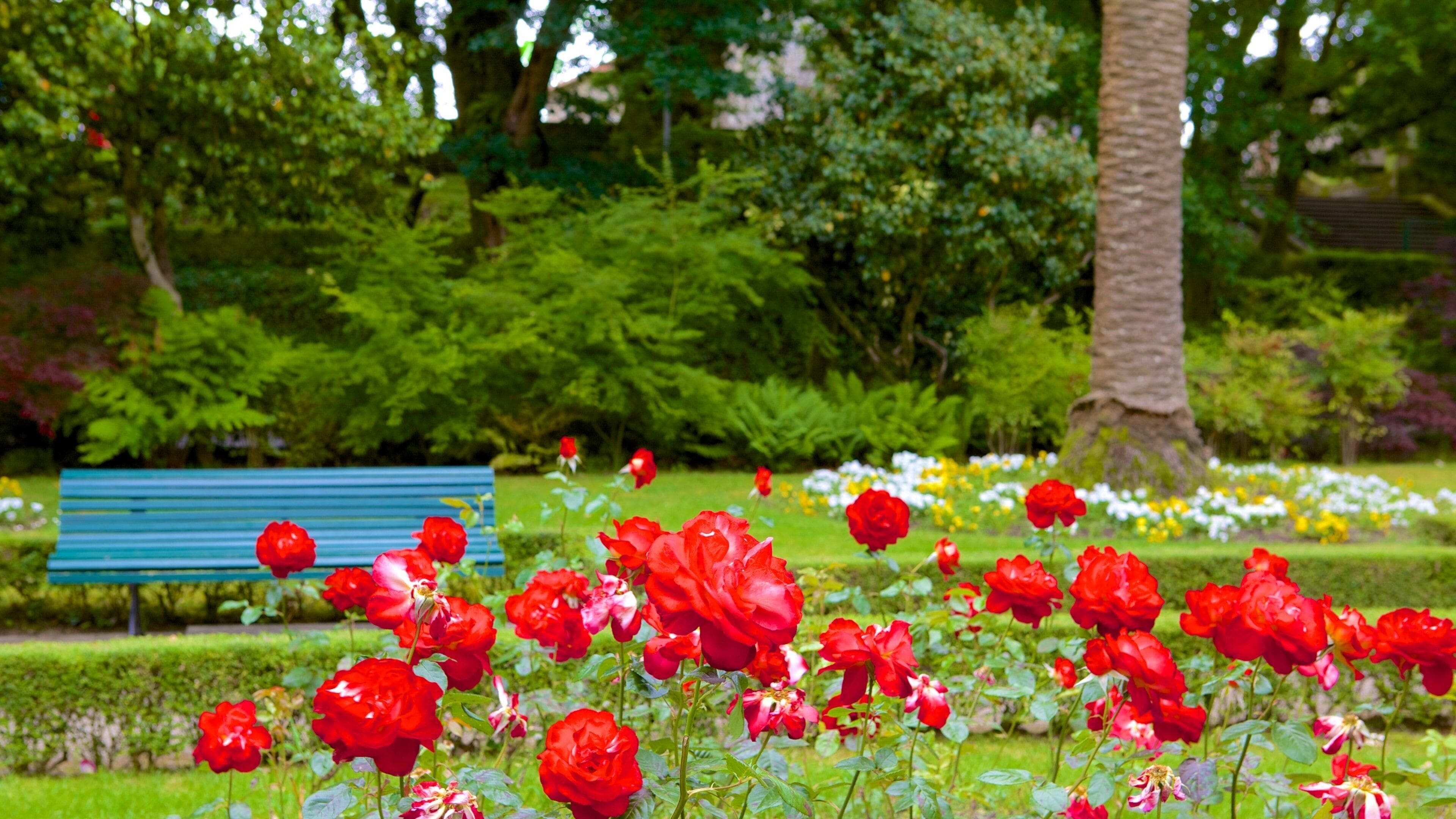 Alameda Park which includes wildflowers, a garden and flowers