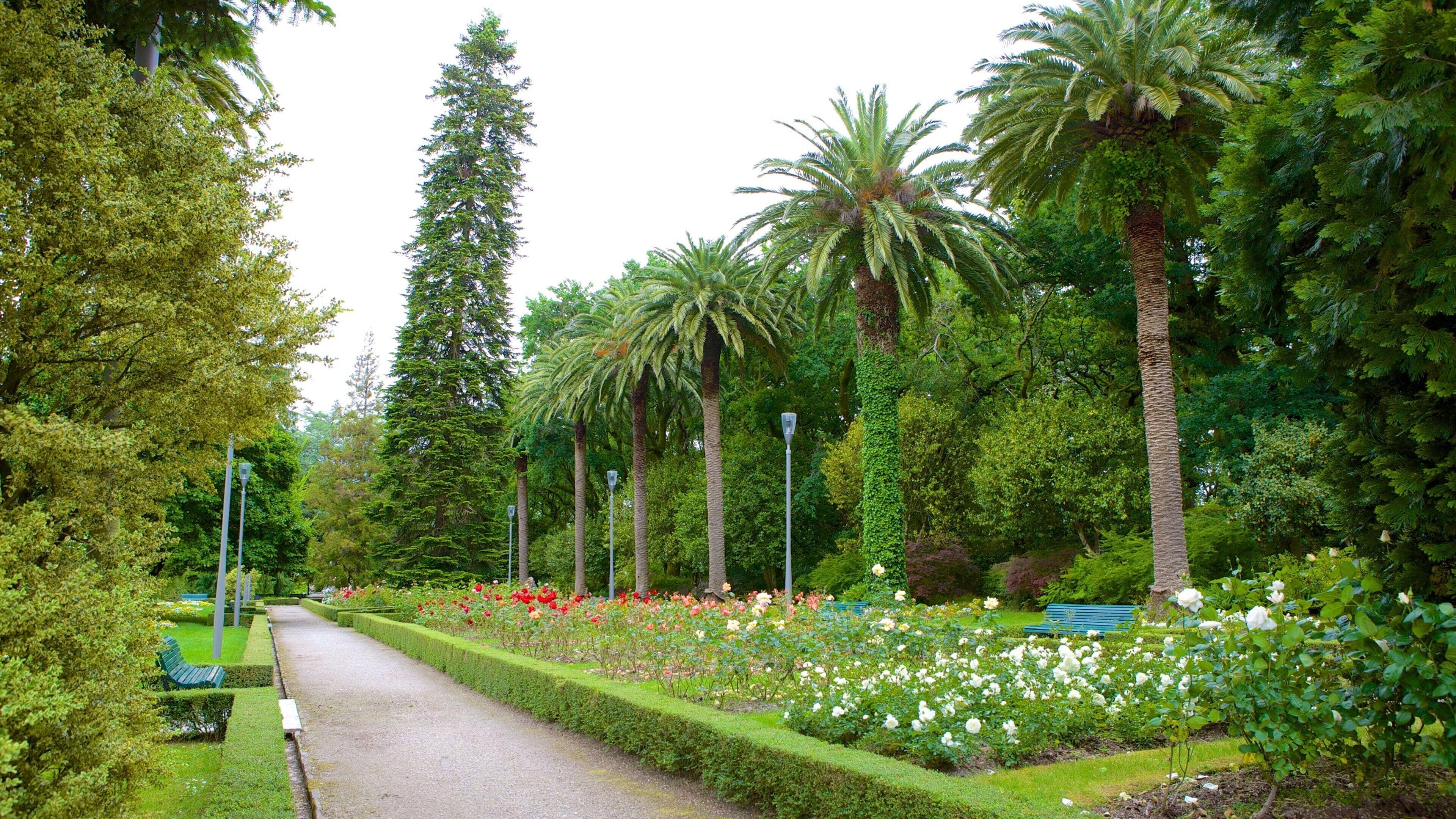 Alameda Park showing a garden