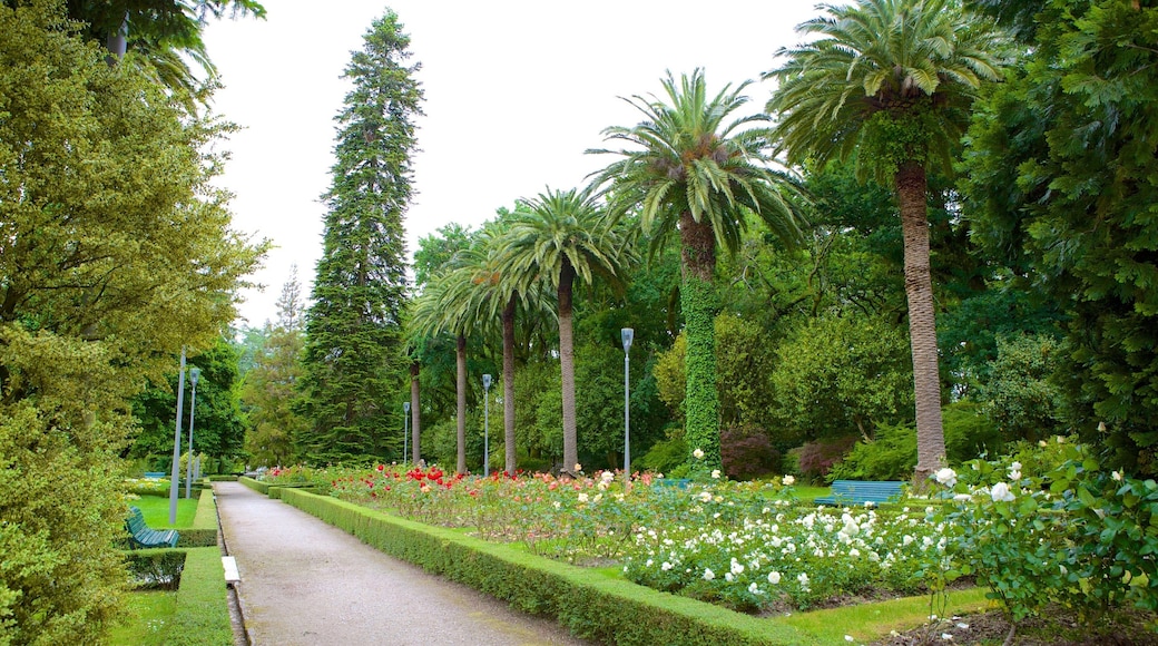 Alameda Park showing a garden