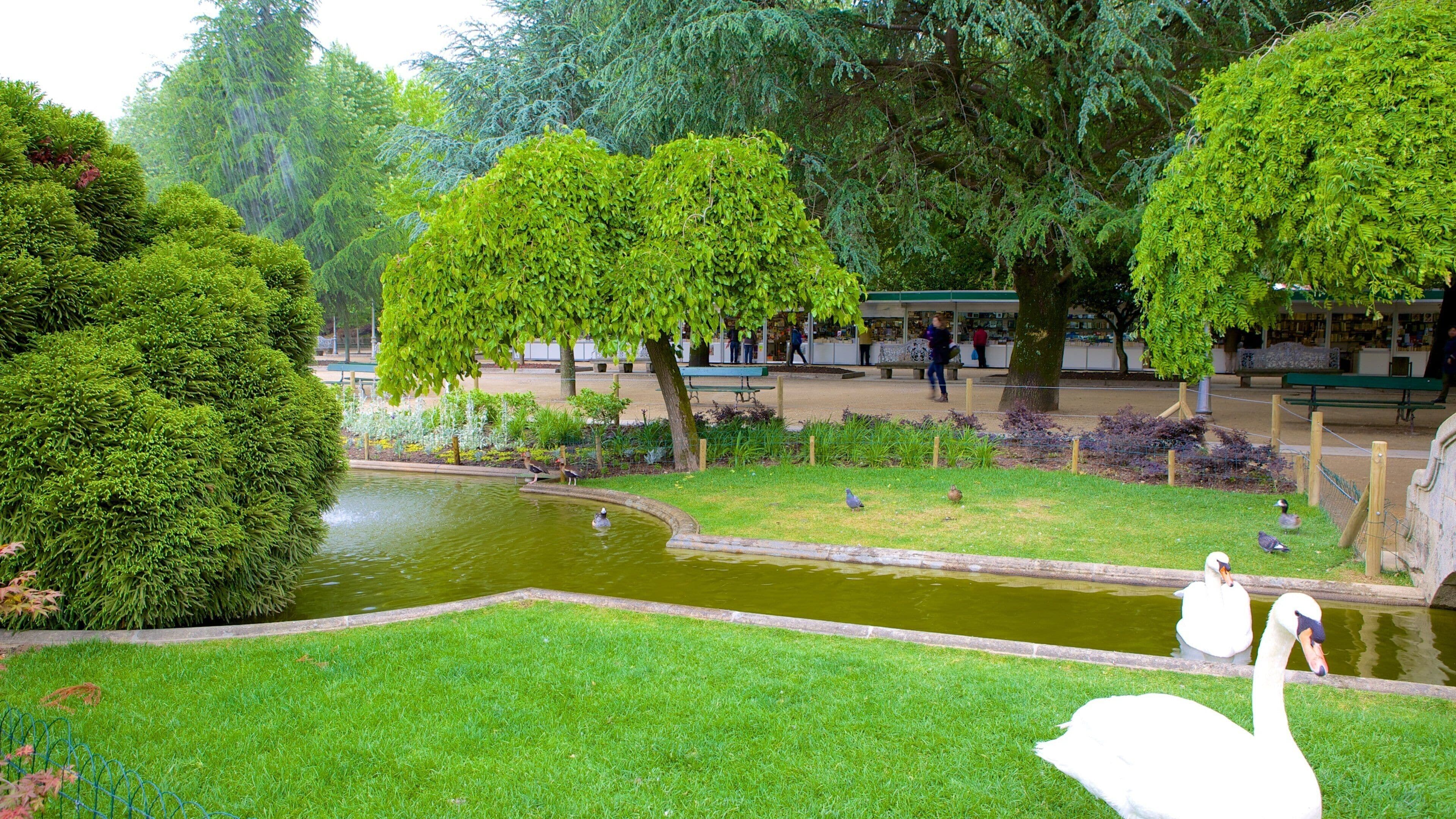 Alameda Park which includes bird life, a pond and a garden